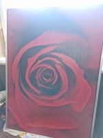 Bild Rose Wandbild. 140x100cm Rheinland-Pfalz - Mayen Vorschau