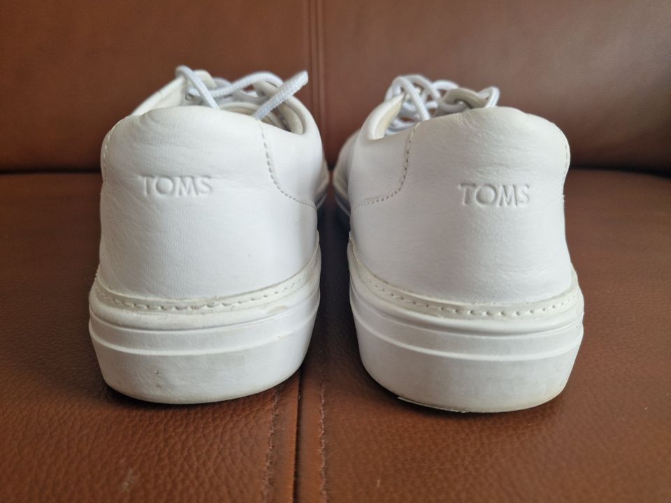 Schöne TOMS Alex Sneaker, Leder, Weiß, Gr. 42, Guter Zustand in Paderborn