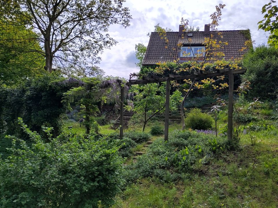 Zauberhaftes Haus in Traumlage in Lauenburg