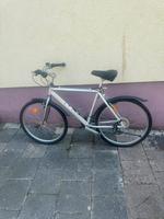 26 Zoll Herren Fahrrad Hessen - Rodgau Vorschau