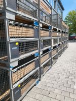 DB Gitterboxen gebraucht 1200 x 800 mm ideal für Brennholz Bayern - Feldkirchen-Westerham Vorschau
