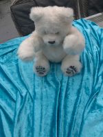 Teddy  Furreal Niedersachsen - Lütetsburg Vorschau