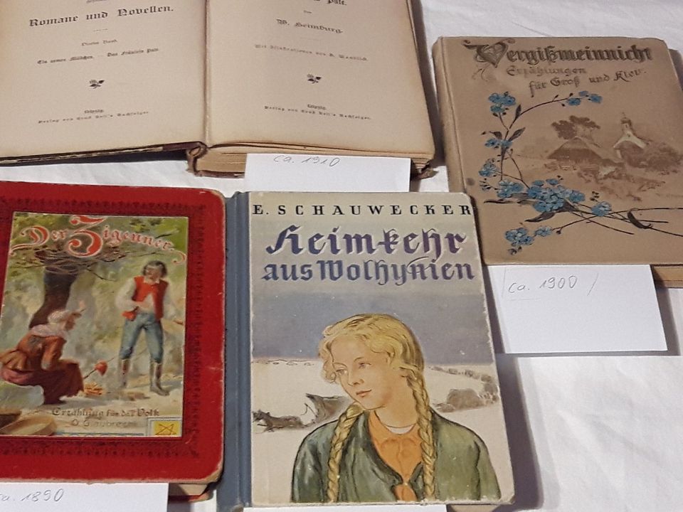 Antike Kinderbücher Romane 1890 - 1941 in Döbeln