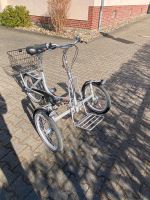 Frontdreirad - Falt - Dreirad von Draisin - Modell Shopi Dresden - Trachau Vorschau