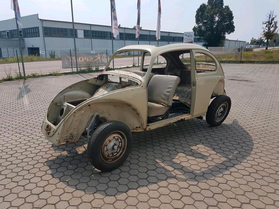 VW Käfer Winker Golde Faltdach Jadegrün Rechteckkäfer kein Ovali in Bruck
