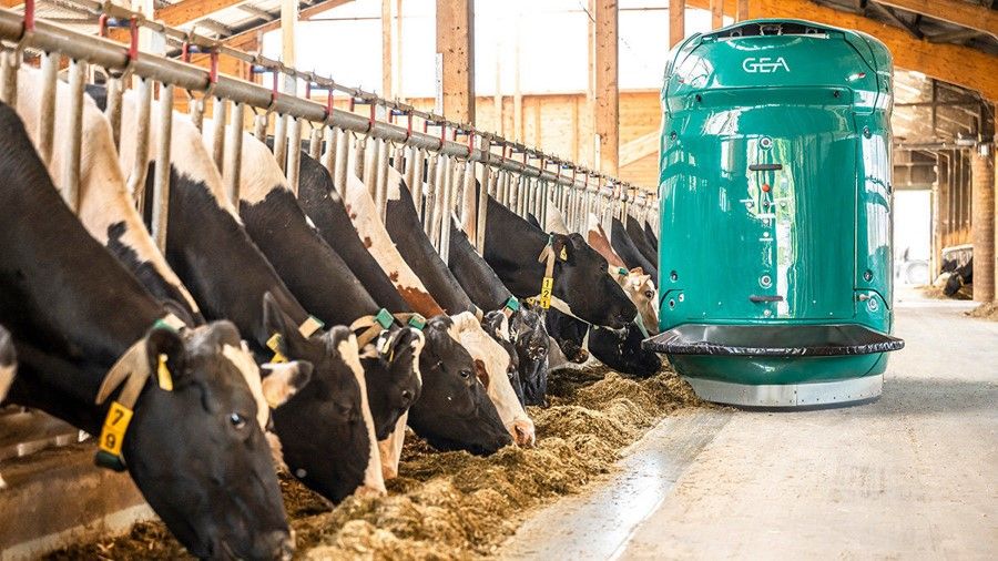 GEA DairyFeed F4500 selbstfahrender Fütterungsroboter in Bad Waldsee