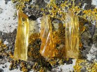 Set: 3 x wunderschöne Honigcalcite Steine Mineralien Kristalle Nordrhein-Westfalen - Witten Vorschau