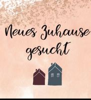 Suche Wohnung Niedersachsen - Werlte  Vorschau