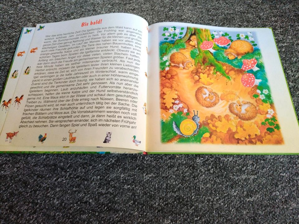 Kinderbuch neuwertig in Friedrichskoog