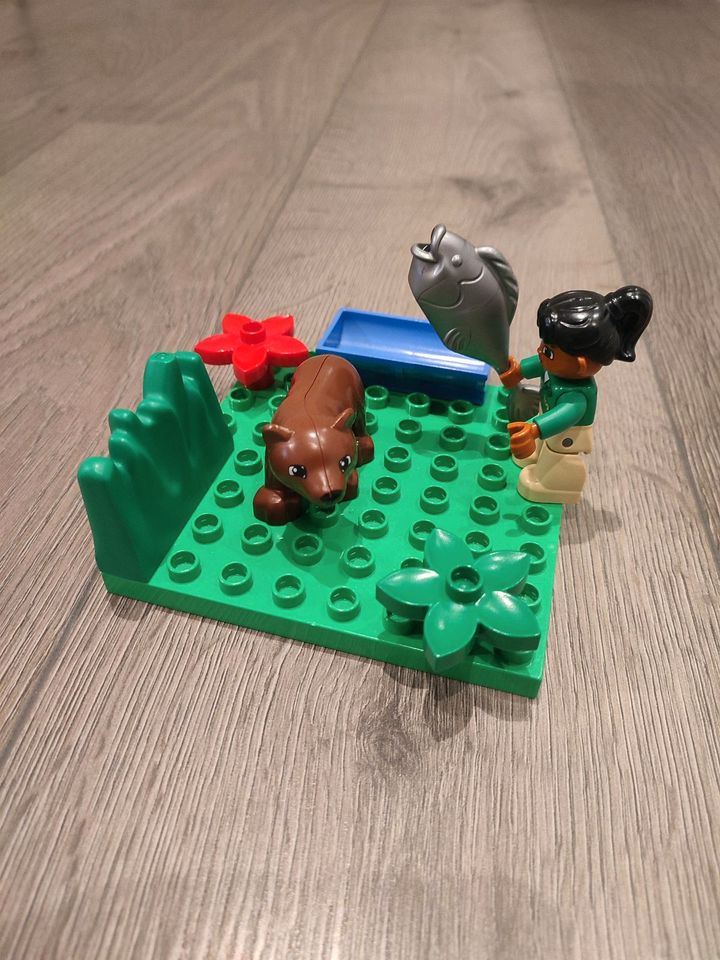Lego Duplo Bären Gehege in Schortens