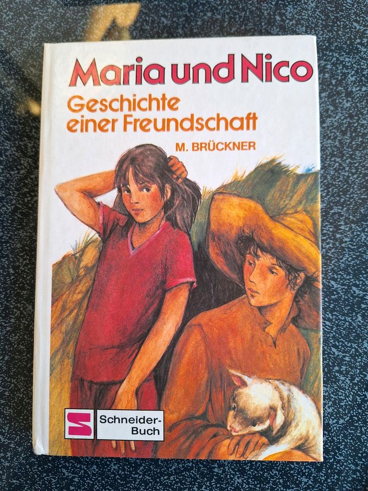 Maria und Nico Greschichten einer Freundachaft - M. Brückner in Zaisenhausen