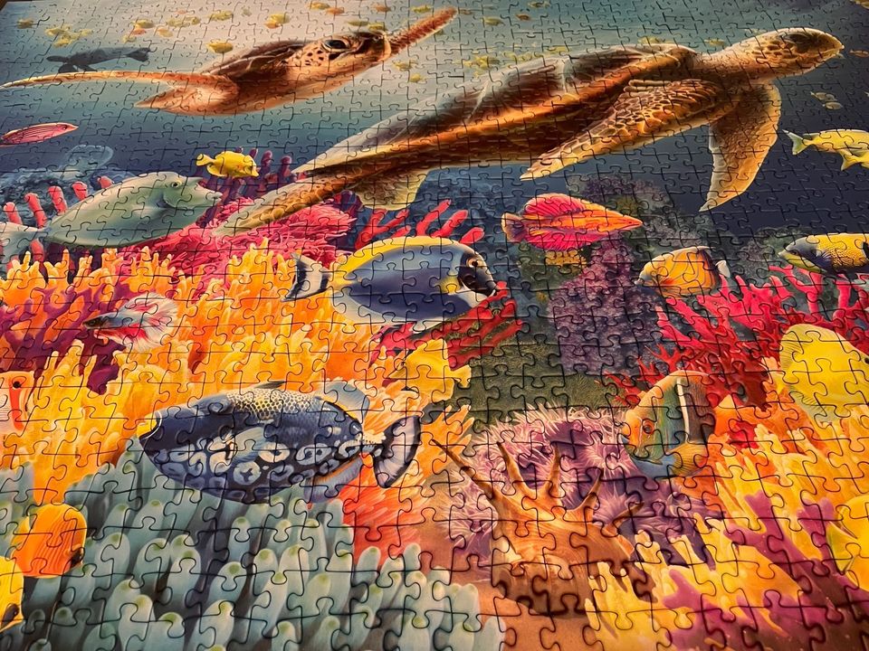 Ravensburger Puzzle 1000 teile bunte Korallen Fische in Neukirchen-Vluyn