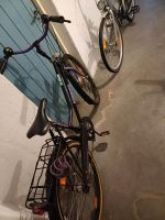 Fahrrad schwarz lila Baden-Württemberg - Pleidelsheim Vorschau