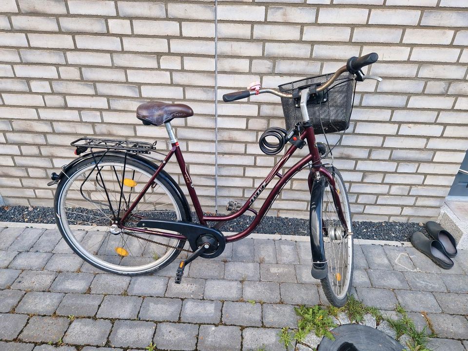 Damenrad 28 Zoll in Flensburg