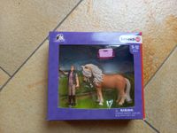 Schleich Horse Club Pferdepflegerin mit Island Pony Stute 41431 Bayern - Langenaltheim Vorschau