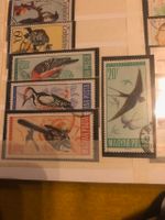 Briefmarken Vögel Ungarn Thüringen - Wutha-Farnroda Vorschau