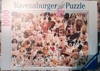 Ravensburger Puzzle 1000 Teile Hunde Collage Baden-Württemberg - Oftersheim Vorschau