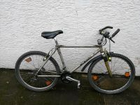 Herren Fahrrad City Bike 26 Zoll Silber Mountain Trekking Rad Tou Rheinland-Pfalz - Worms Vorschau