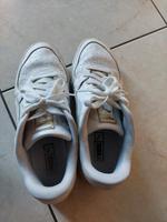 Puma Sneaker Herren wie neu Bayern - Pegnitz Vorschau