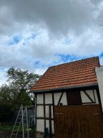 Dachziegel zu verschenken Thüringen - Isseroda Vorschau
