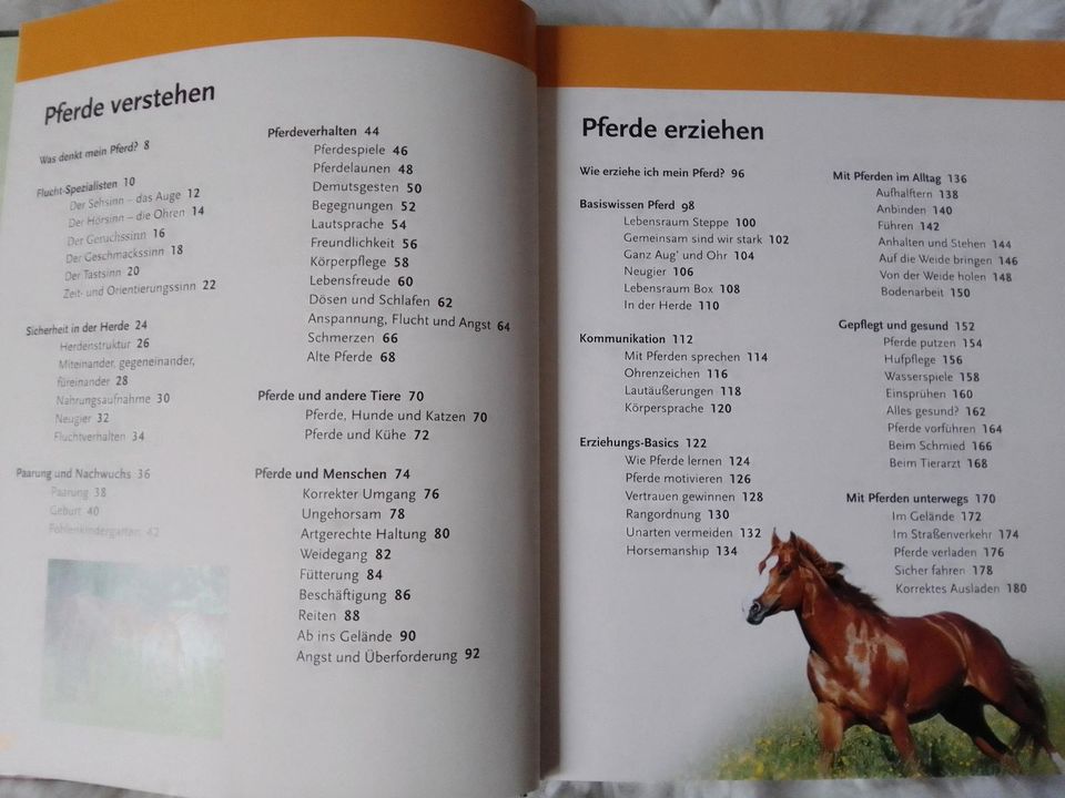 Buch Pferde verstehen, erziehen und reiten in Göttingen