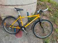 Fahrrad Mountainbike Baden-Württemberg - Calw Vorschau