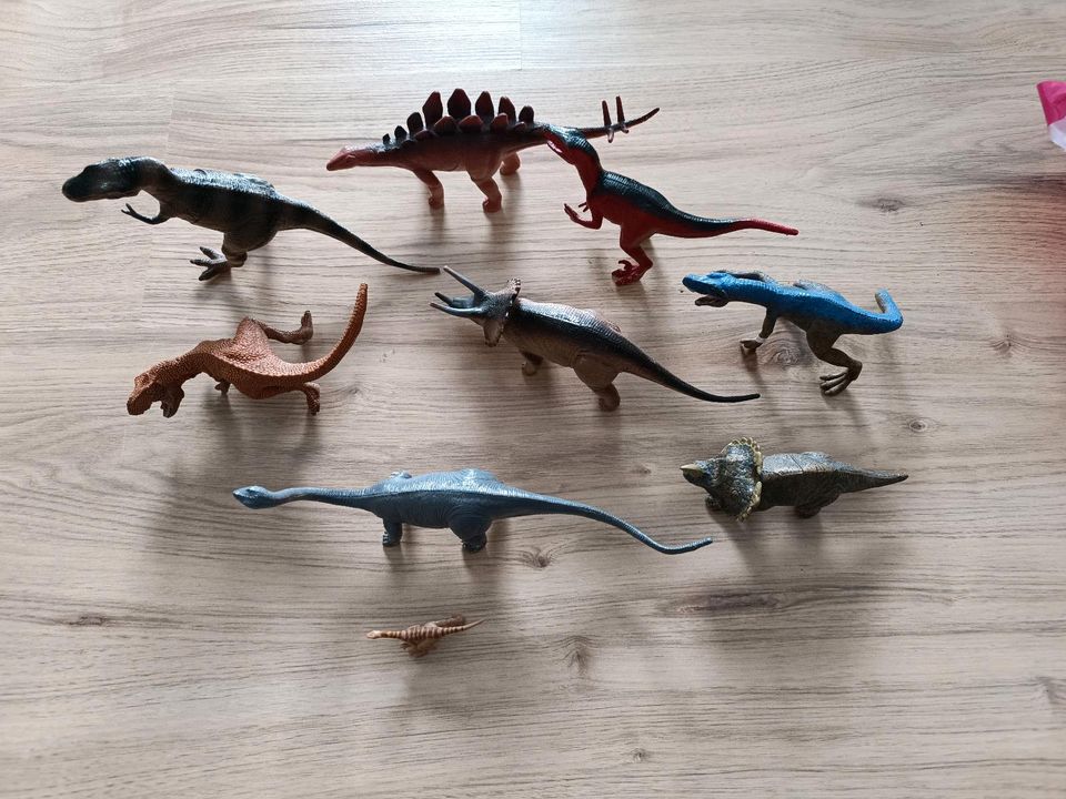 Dinosaurier Set in Freystadt