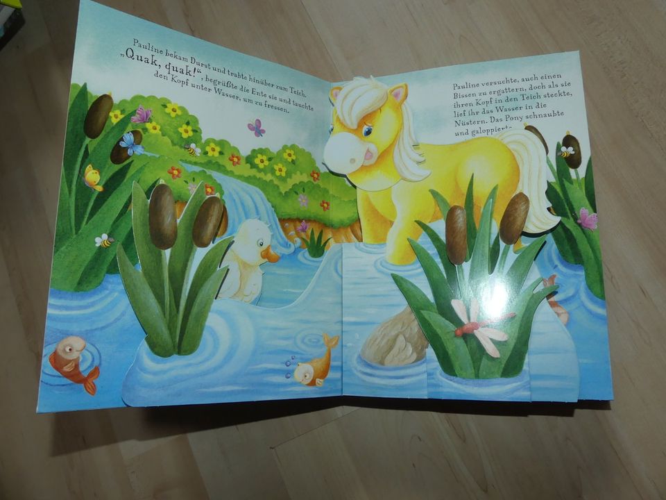 Kinderbuch Buch Das kleine Pony und seine Freunde in Limbach-Oberfrohna