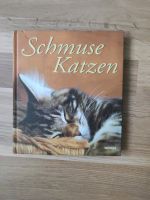 Schmusekatzen Dresden - Schönfeld-Weißig Vorschau