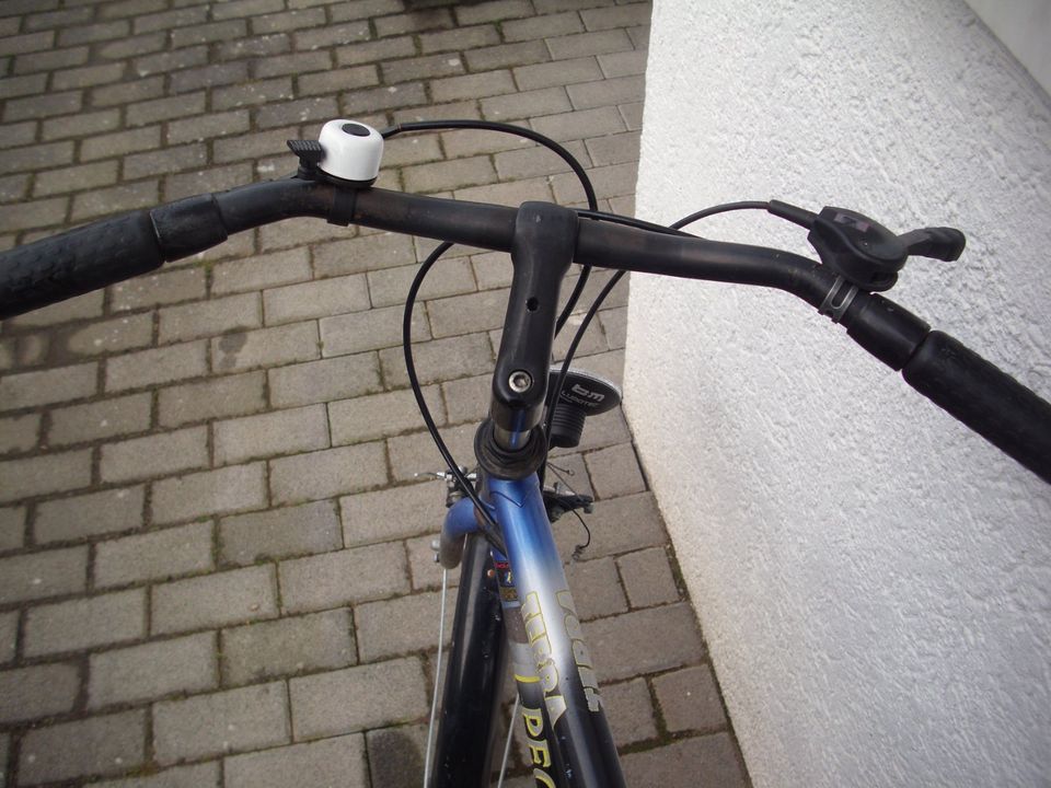 28" Zoll Herrenfahrrad "Pegasus" Trekking in Wöllstein