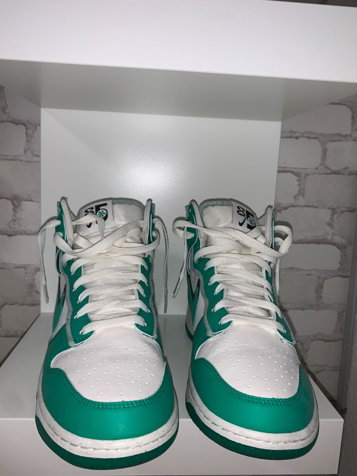 Nike Dunk High Stadium Green in Lengede