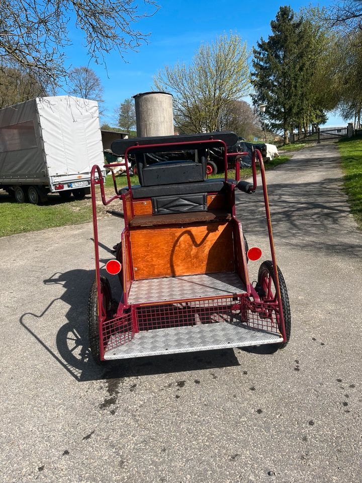 Shetty Kutsche/ Marathonwagen in Lienen