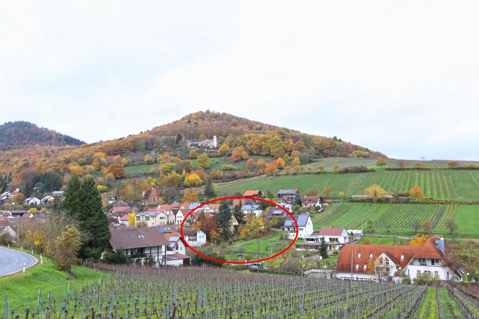 Sonniges Grundstück am Südhang in Ortsrandlage mit grandiosem Ausblick in Leinsweiler