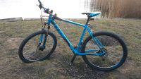 MTB MOUNTAINBIKE CUBE ANALOG 29" FAHRRAD BLAU 24 GANG TOP ZUSTAND Brandenburg - Prenzlau Vorschau