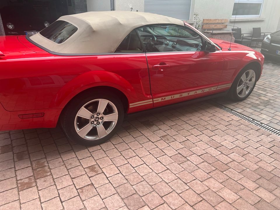 Mustang Cabrio 4.0 in Bellheim