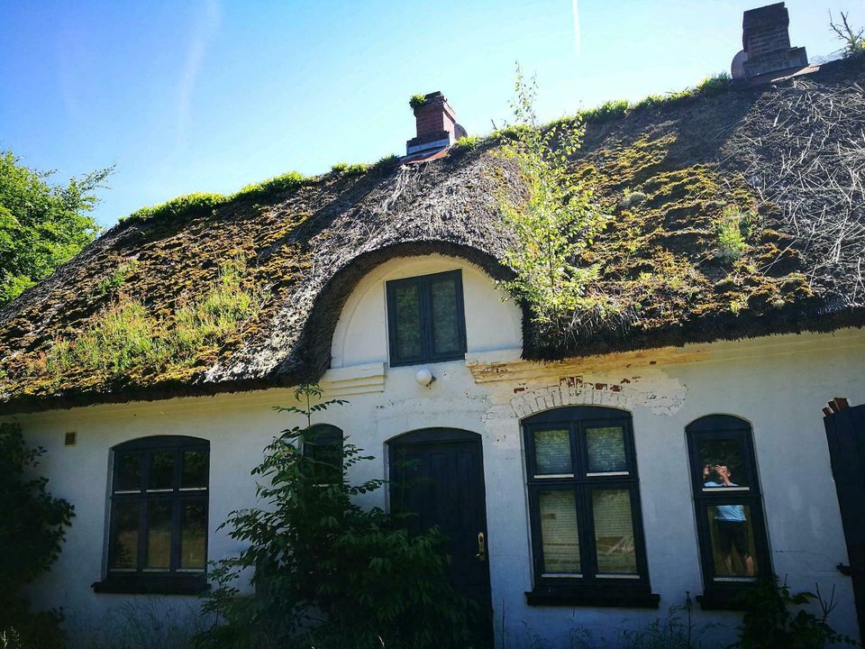 Haushaltsauflösung Sammlerauflösung Lagerauflösung in Herne