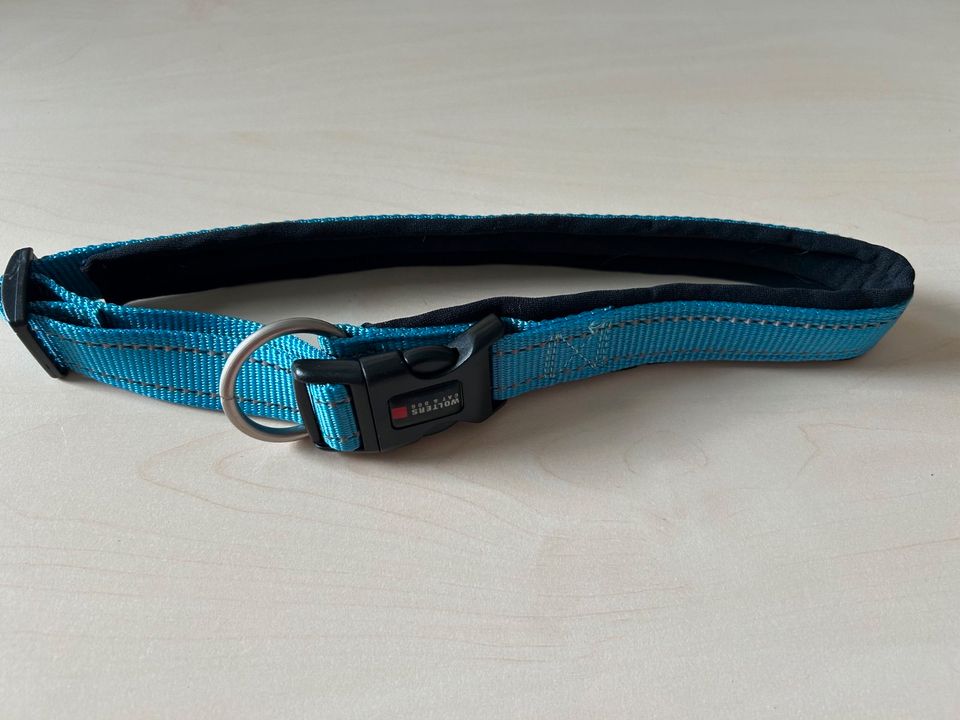 Halsband von Wolters türkisfarben - neu - für größere Hunde in Hünstetten