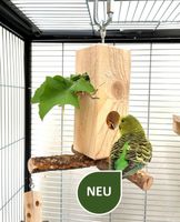Spiel- und Futterbaum zum Hängen für Vögel Nordrhein-Westfalen - Emmerich am Rhein Vorschau
