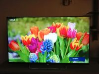 Sony BRAVIA TV 50 Zoll (Full HD, Triple Tuner, 3D, Smart TV) Baden-Württemberg - Biberach an der Riß Vorschau