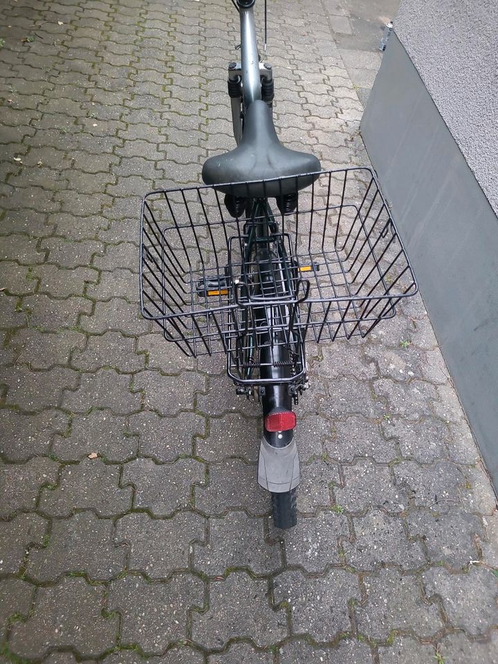 26 zol Dammen Fahrrad zu verkaufen in Landau in der Pfalz