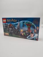 LEGO Harry Potter Hogwarts Kutsche mit Thestralen 76400 Neu & OVP Hessen - Lorsch Vorschau