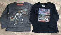 Kinder Junge Pullover Oberteil Gr 98/104 Dino Jurassic world Nordrhein-Westfalen - Lengerich Vorschau