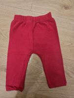 Leggings Staccato Gr. 74 Nordrhein-Westfalen - Bad Berleburg Vorschau