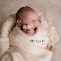 Newbornshooting Babyshooting Babyfotos Neugeborenenfotos Fotograf Sachsen-Anhalt - Halle Vorschau