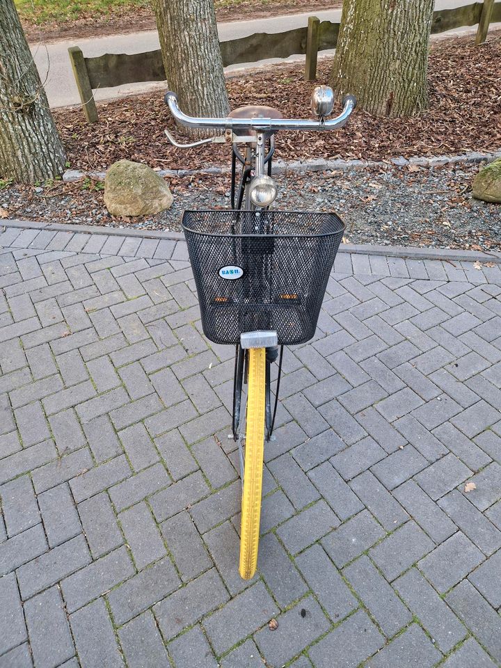 Damen Hollandrad / Citybike / Fahrrad / E-Bike in Spieka