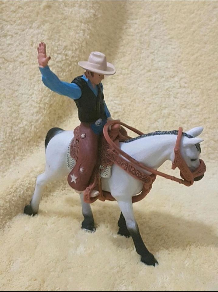 Schleich Western Set. in Chemnitz