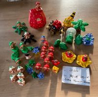 Lego Duplo Little Forrest Friends großes Set Spinne Biene Erdbeer Baden-Württemberg - Waldshut-Tiengen Vorschau