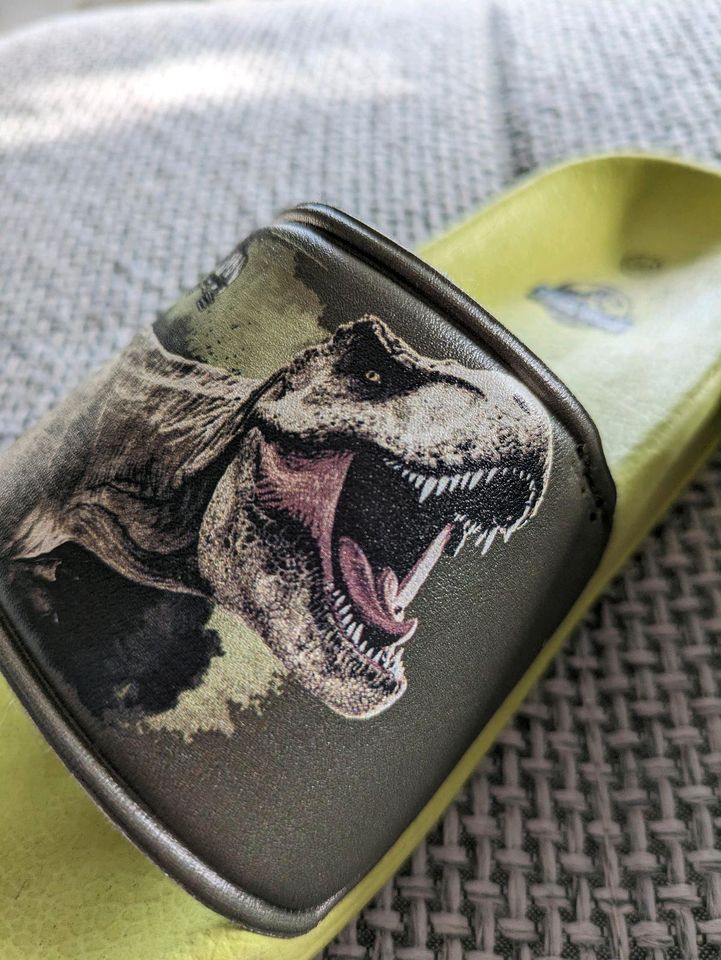 Badelatschen Dinosaurier Schuhe hausschuhe Jurassic Park in Zarrentin