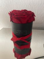 Kleine Infinity Rose rot ❤️sehr schön Rosenbox Deko echte Nordrhein-Westfalen - Gelsenkirchen Vorschau