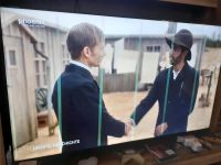 Fernseher 55Zoll Hisense 139cm,4K UHD Smart TV, Niedersachsen - Gnarrenburg Vorschau